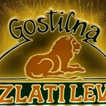 Gostilna In Apartmaji Zlati Lev - Marburg Exterior foto